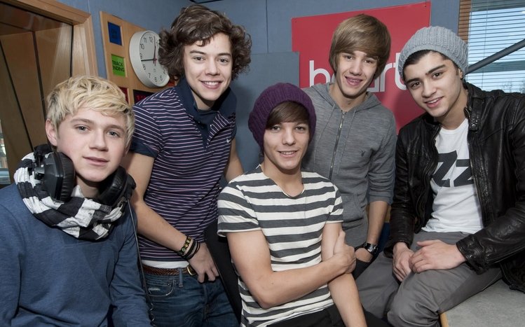 One Direction Theme screenshot #8