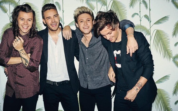 One Direction Theme screenshot #19