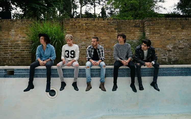 One Direction Theme screenshot #14