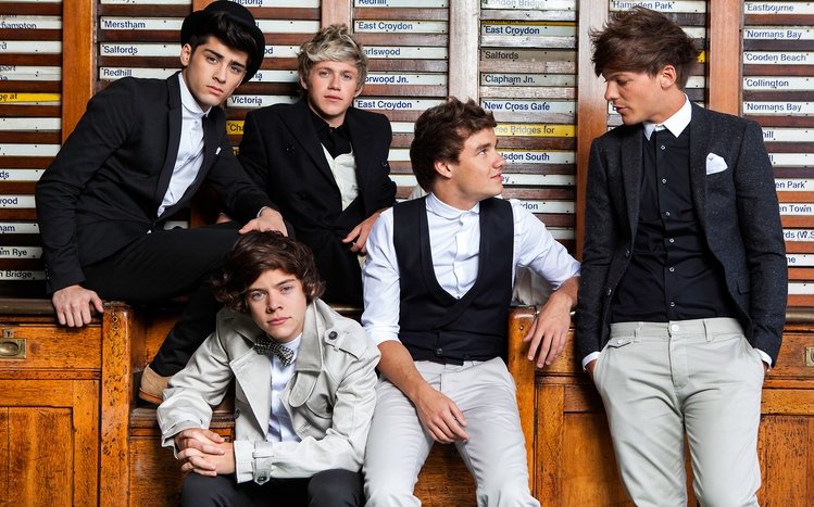 One Direction Theme screenshot #18