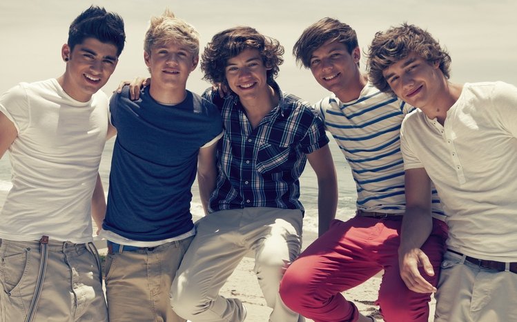 One Direction Theme screenshot #6