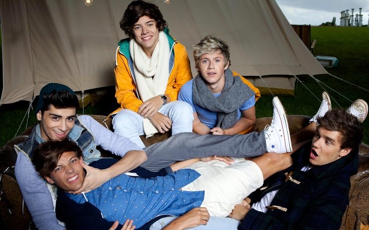 One Direction Theme screenshot #15