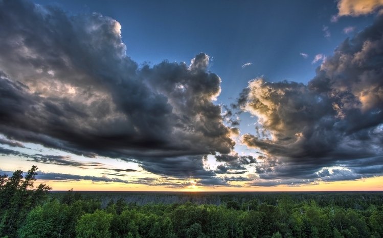 Nature Theme screenshot #11