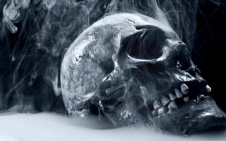 Skull Theme screenshot #1