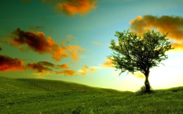 Summer Theme screenshot #17