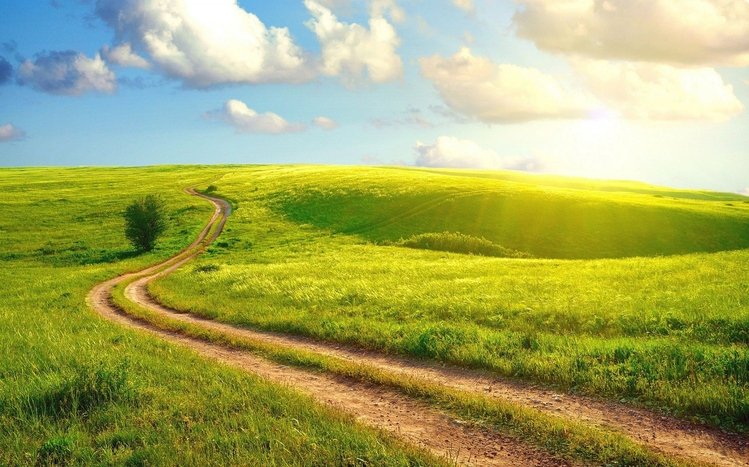 Summer Theme screenshot #12