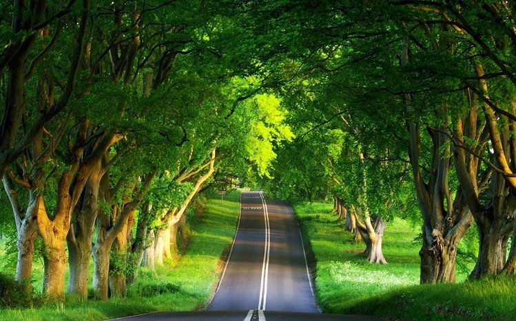 Summer Theme screenshot #10