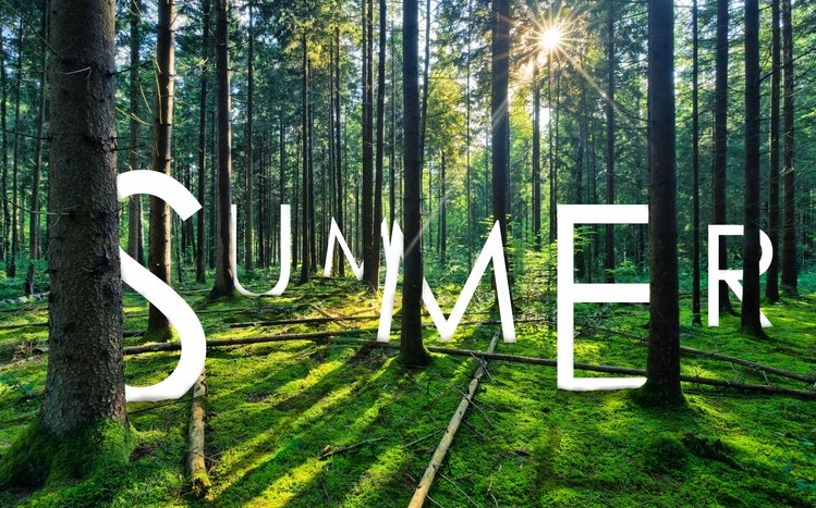 Summer Theme screenshot #2