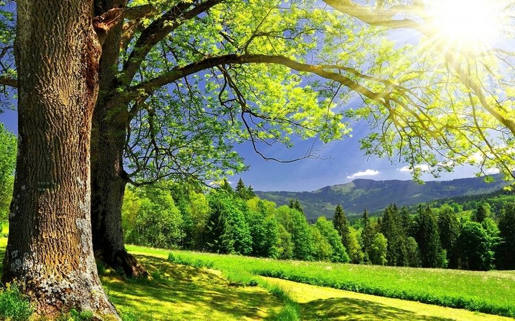 Summer Theme screenshot #16