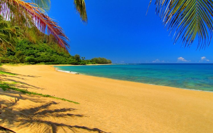 Summer Theme screenshot #11