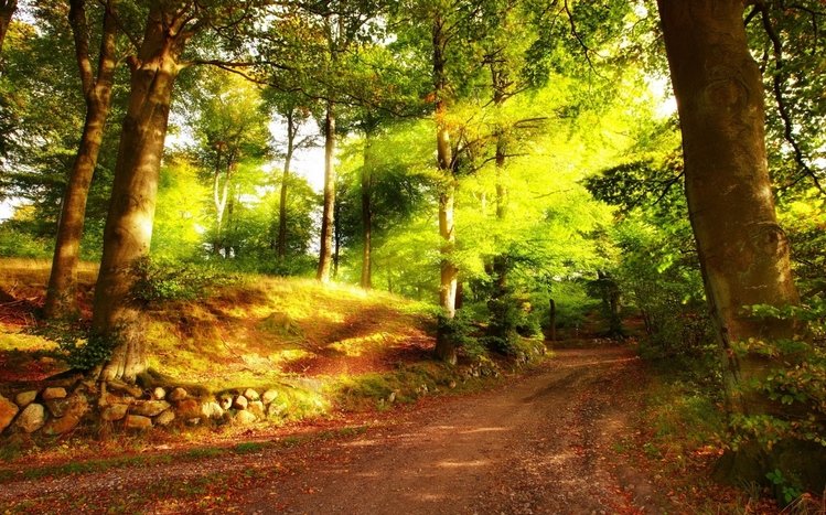 Summer Theme screenshot #13