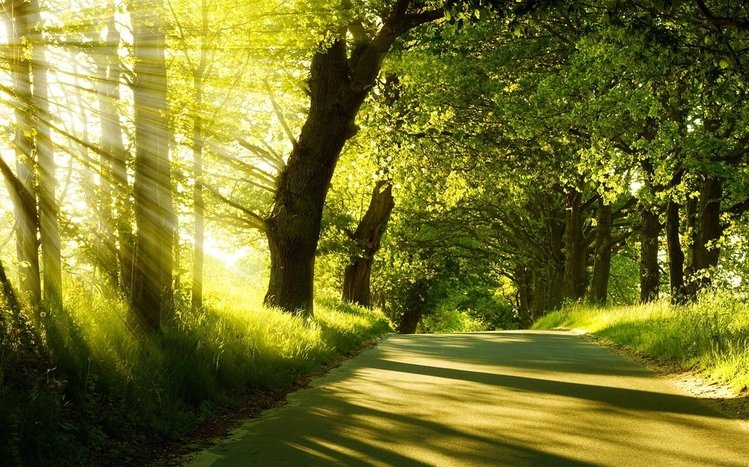 Summer Theme screenshot #14