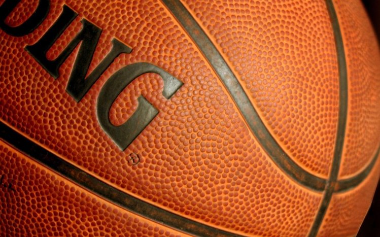 Basketball Theme screenshot #14