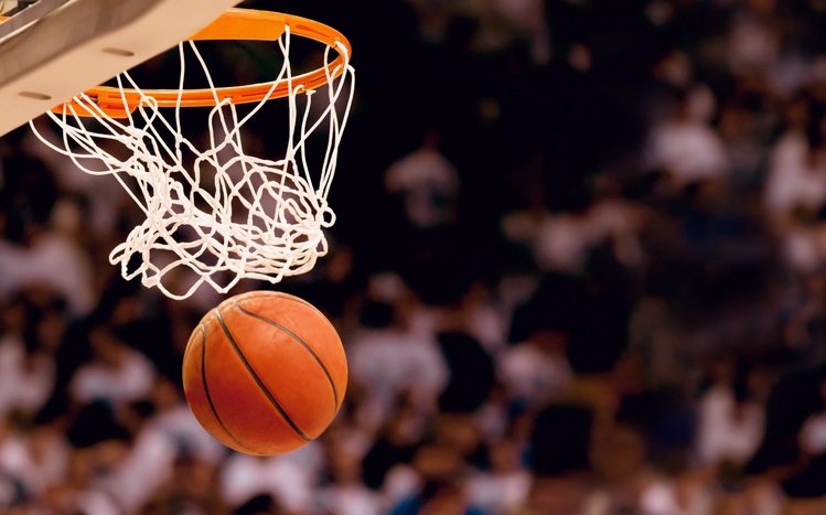 Basketball Theme screenshot #1