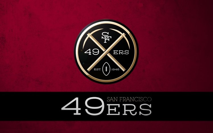 49ers Theme screenshot #14