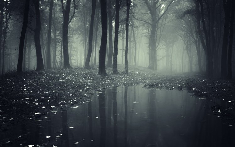 Dark Theme screenshot #11