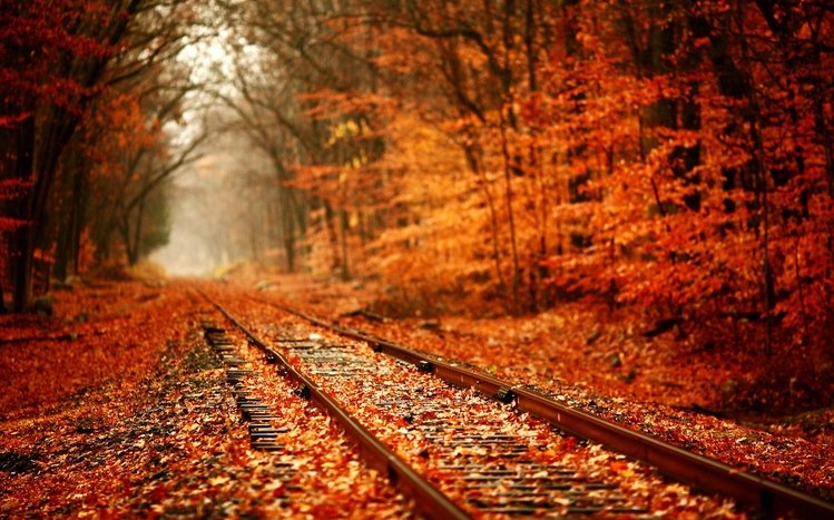 Autumn Theme screenshot #20