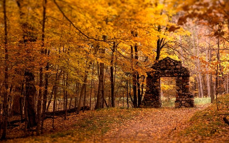 Autumn Theme screenshot #9