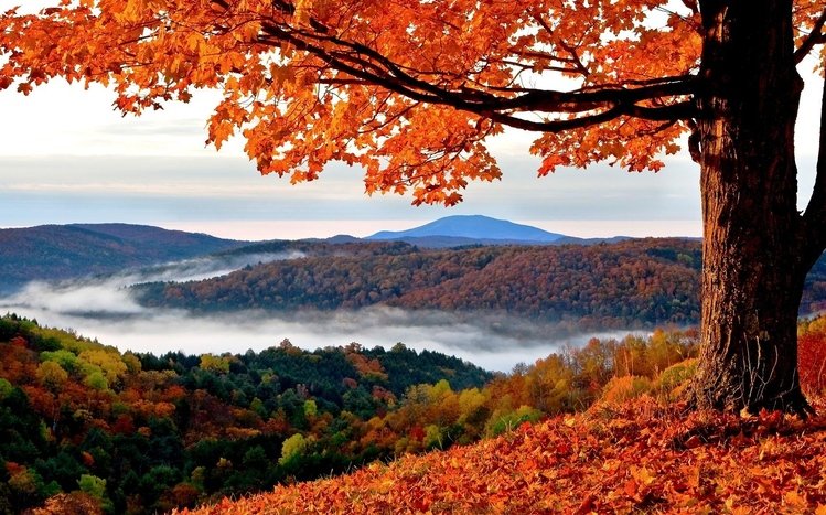 Autumn Theme screenshot #19