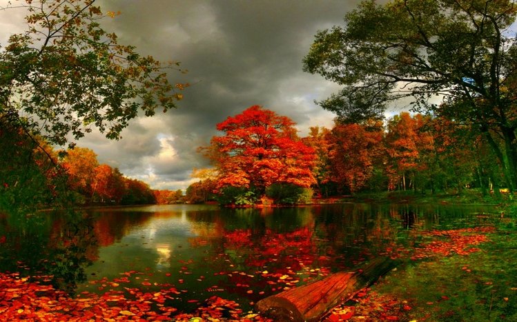 Autumn Theme screenshot #18