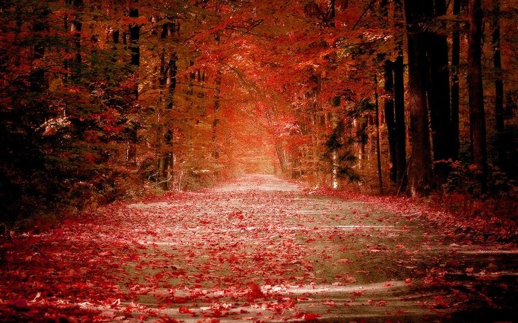 Autumn Theme screenshot #10