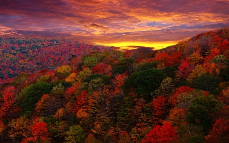 Autumn Theme screenshot #11