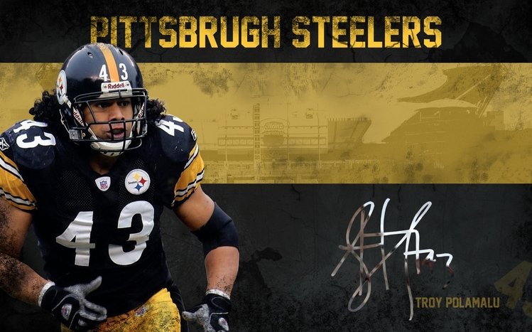 Steelers Theme screenshot #8