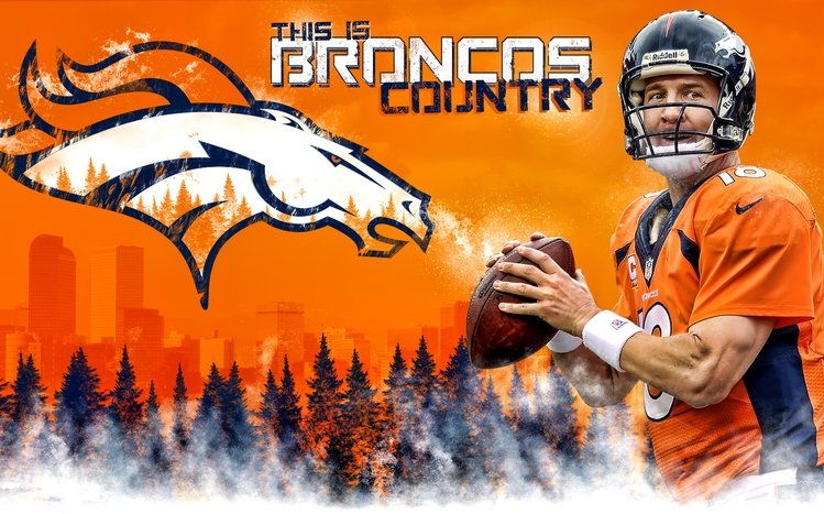 Denver Broncos Theme screenshot #18