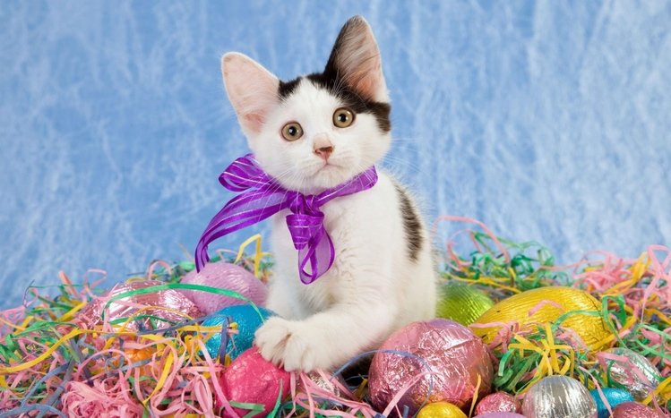 Easter Theme screenshot #10