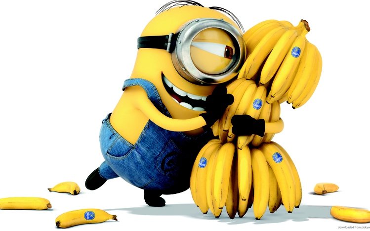 Despicable Me Theme screenshot #4