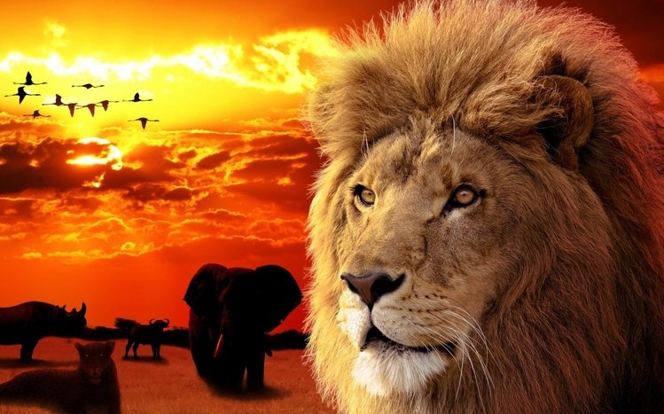 Lion Theme screenshot #6