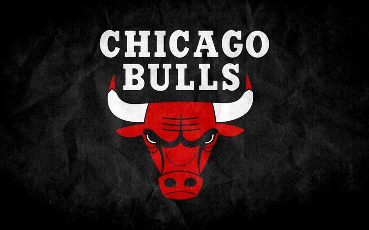 Chicago Bulls Theme screenshot #9