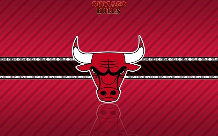 Chicago Bulls Theme screenshot #7