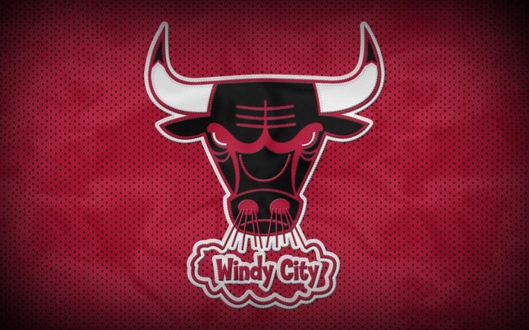 Chicago Bulls Theme screenshot #10
