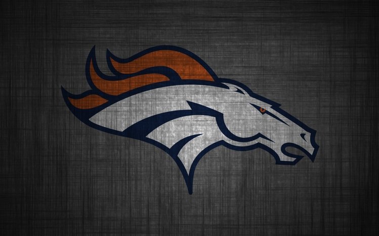 Broncos Theme screenshot #11