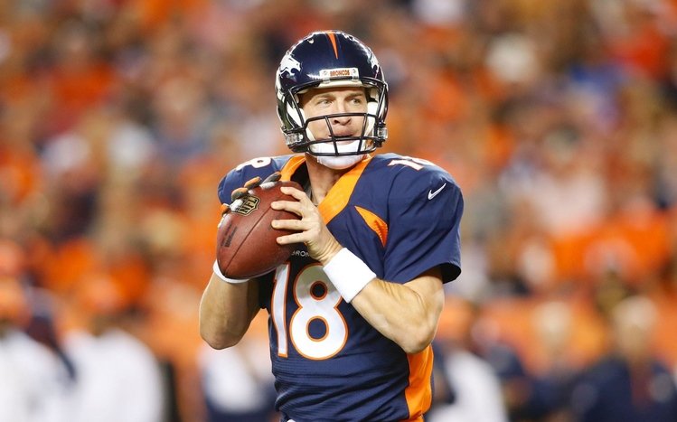 Broncos Theme screenshot #15