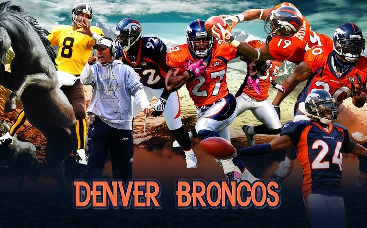Broncos Theme screenshot #12