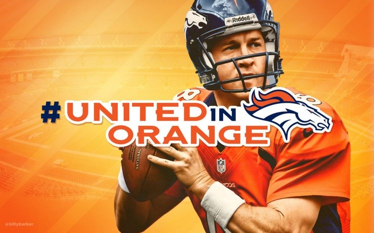 Broncos Theme screenshot #17