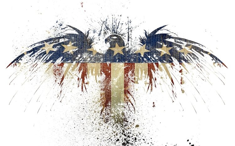 American Flag Theme screenshot #1