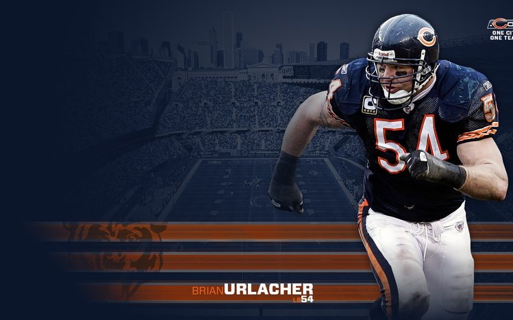 Chicago Bears Theme screenshot #13