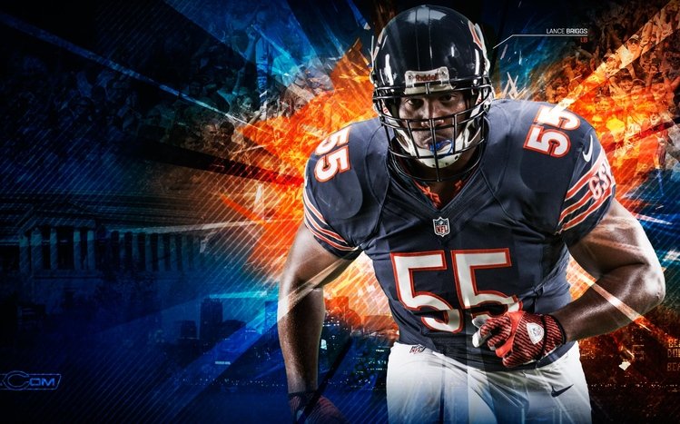 Chicago Bears Theme screenshot #9