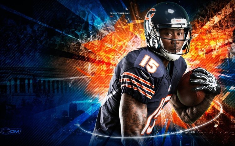 Chicago Bears Theme screenshot #12