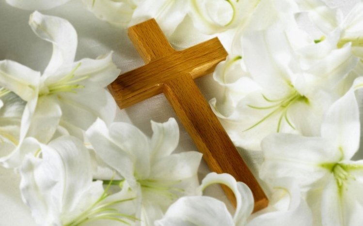 Cross Theme screenshot #3