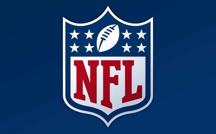 NFL Theme screenshot #7