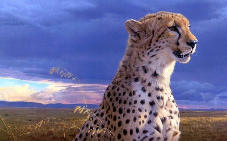 Cheetah Theme screenshot #1