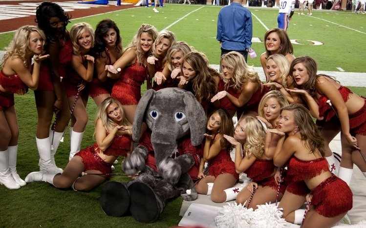 Alabama Theme screenshot #12