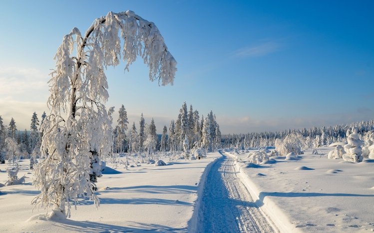 Snow Theme screenshot #5