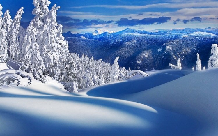 Snow Theme screenshot #3