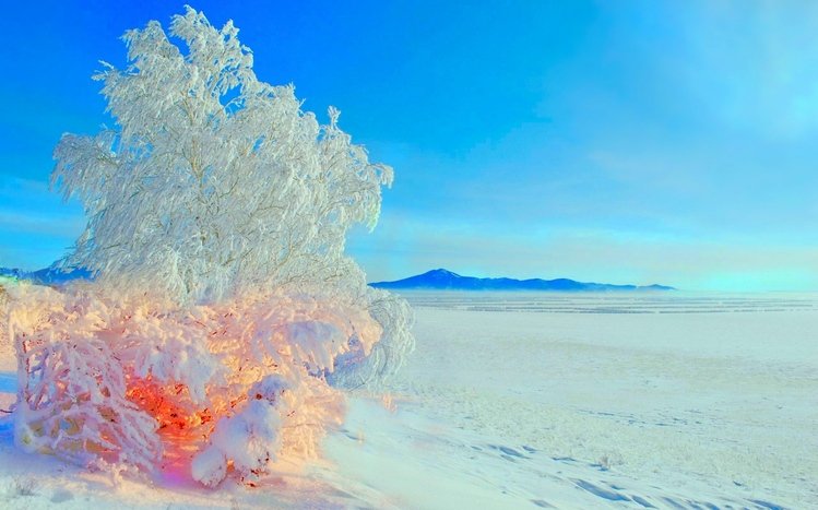 Snow Theme screenshot #8