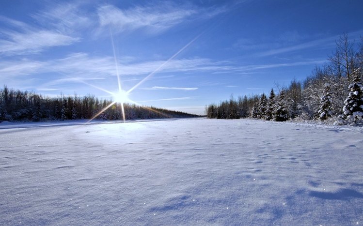 Snow Theme screenshot #10